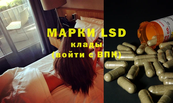 spice Липки