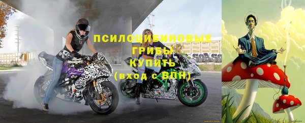 spice Липки